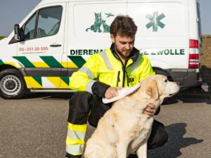 Thijmen staat voor een Dierenambulance-auto, draagt dierenambulance-kleding en heeft een hond vast die hij onderzoekt.